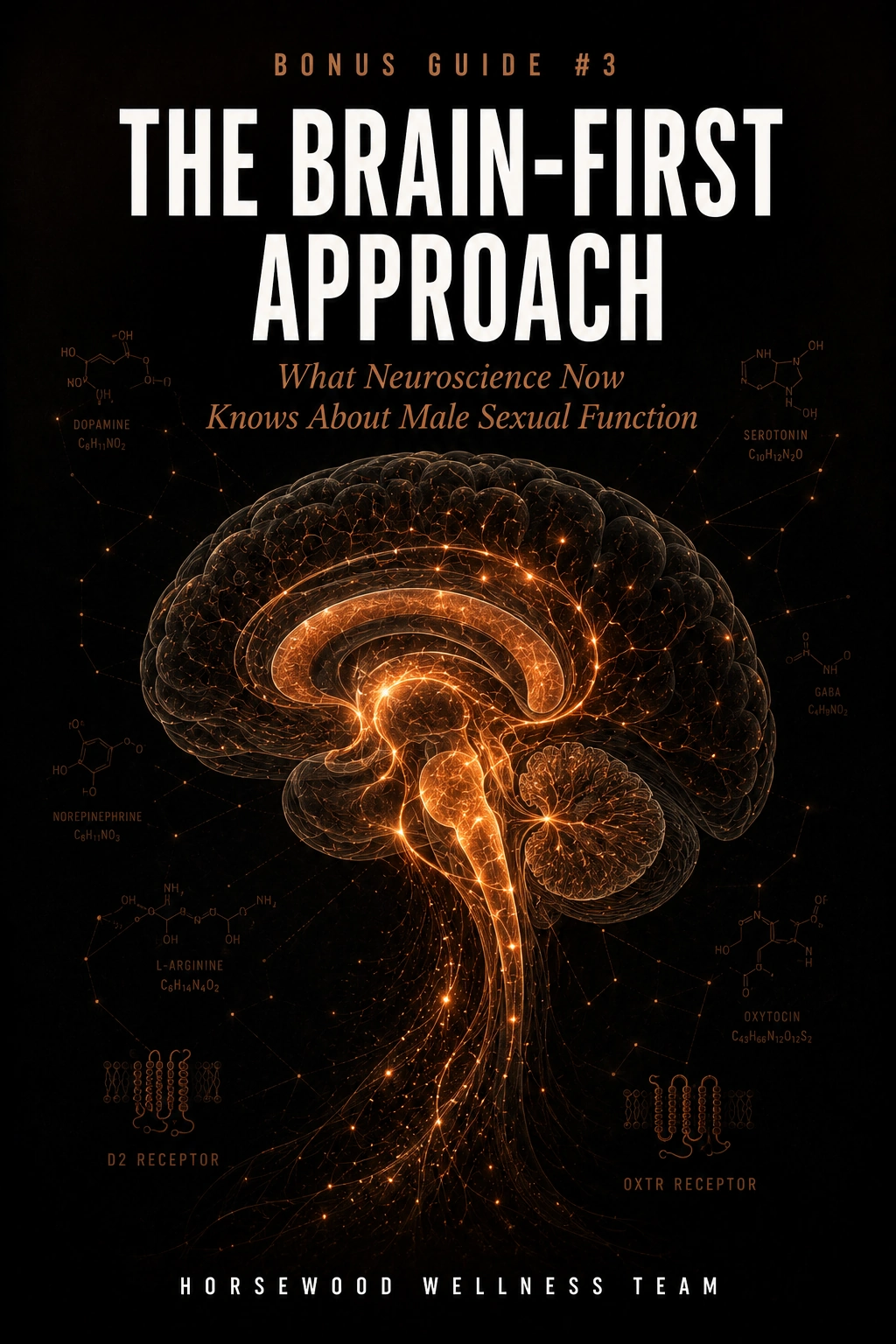 Cover of the Horsewood bonus guide, The Brain-First Approach